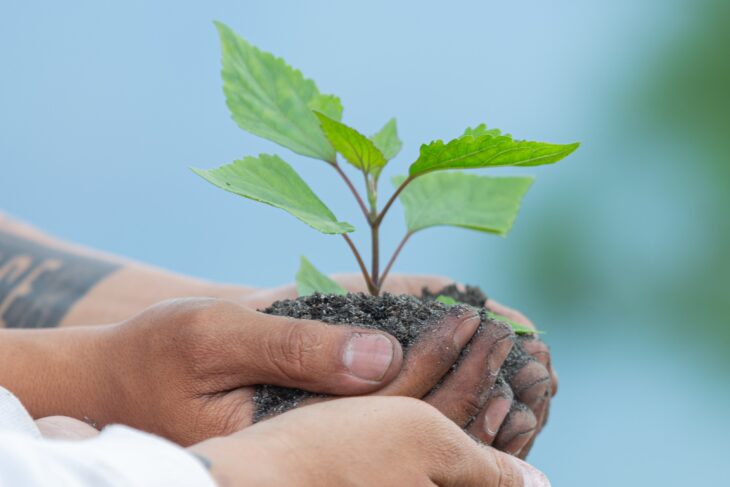 Verde que te quero verde